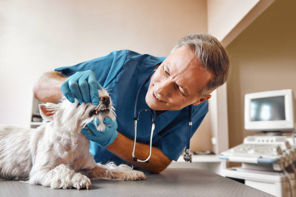Best Emergency Treatment for Oral Infections in Lincoln Village, CA